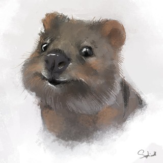 Логотип @quokkastranslates - Переводы Квокки