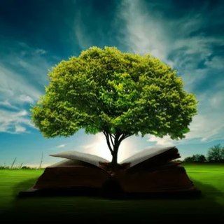 Логотип @quoteandmind - Мысли. Цитаты. Афоризмы.