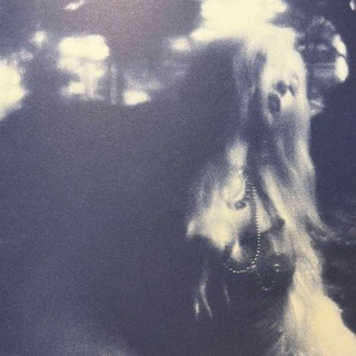 Логотип @quoteformee - 𝓺𝓾𝓸𝓽𝓮 𝓯𝓸𝓻 𝓶𝓮