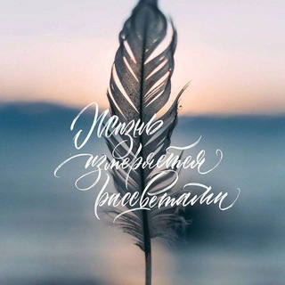 Логотип @quoteoflife78 - ✨ᎷᎩᎠᏢᏏᏓᎬ ᎷᏏᏓᏟᏗИ/ЦИᎢᎪᎢᏏᏓ