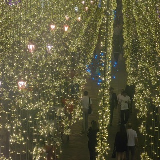 Логотип @quotingbiden - ASAP