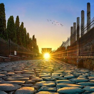 Логотип @quovadisby - Quo vadis