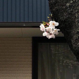 Логотип @quron_tolibasii - لا راحة في الدنيا