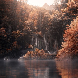 Логотип @qushfact - QUSH