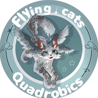 Логотип @qvadrobik_uwu - —Квадробика «Flying cats»⚓️