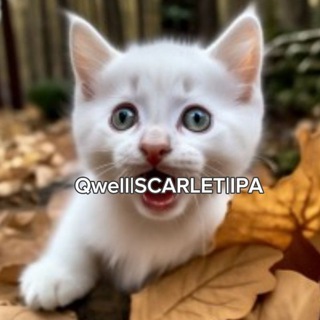 Логотип @qwelios - Qwell SCARLET|IPA