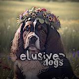 Логотип @qwexxstar - скорбь сатаны