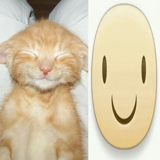 Логотип @qwiitez - qwiitez