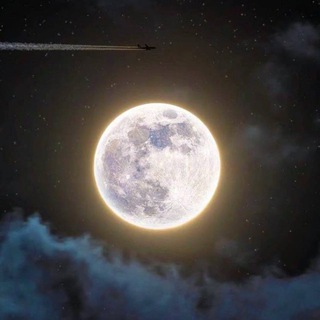 Логотип @qwzss - & L97🤍