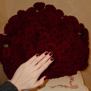 Логотип @qxtmee - X ☾