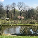 Логотип @qytwec_wrs5lmdey - Наталья Русинова. Прогулки