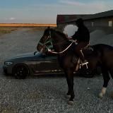 Логотип @qz001x - 001