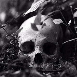 Логотип @r00m_black - Black R00M