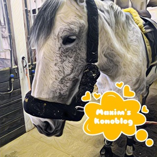 Логотип @r5igpeqx9g5kmtiy - 🐴Maxim's konoblog🐴 (архив)