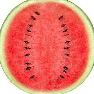 Логотип @r_buz - Арбуз - сочные видео! 🍉