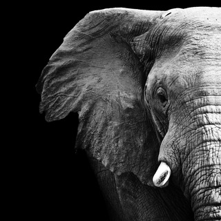 Логотип @ra_ja_ru - RA-JA | Цитаты