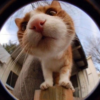 Логотип @raainy_daay - 𝑫𝒐𝒛𝒉𝒅𝒍𝒊𝒗𝒊𝒊 𝒅𝒆𝒏'