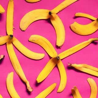 Логотип @rabotarabota5 - Работа Instagram/EdTech