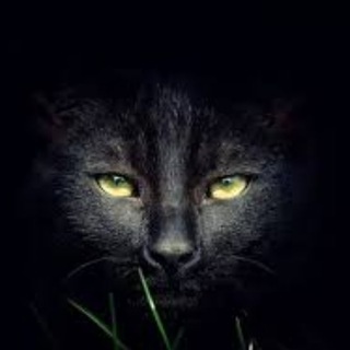 Логотип @rabotat_magnitogorsx - Подработка Вакансии Тверь