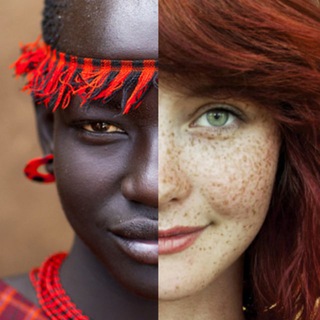 Логотип @racerealismchannel - Race Realism Channel