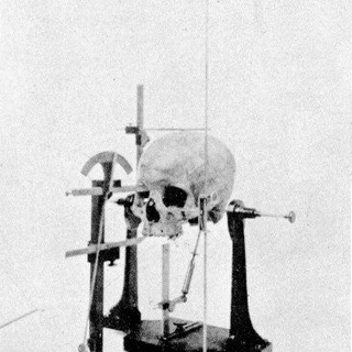 Логотип @racial_antropology - Расиалізм