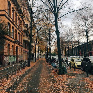 Логотип @radddjjjj - الماني x الماني