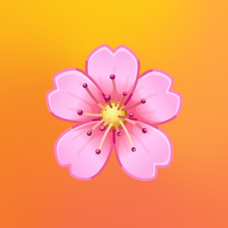 Логотип @radish_plussize - Radish- Одежда большого размера для женщин