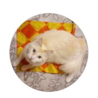 Логотип @radiugara - Radi_ugara