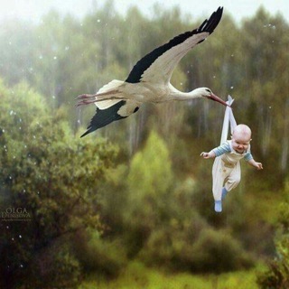 Логотип @radnoylarm_aduwi - ❀༗༗✠ⒶⓂⒺⓇⒾⓀⒶⓃⓄⓁⒶⓇ✠༗༗❀