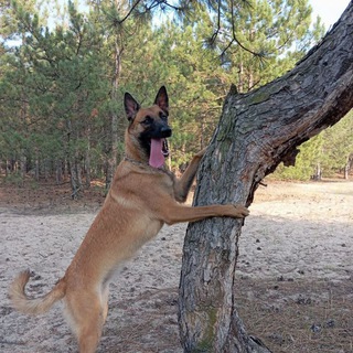 Логотип @ragnarlia - Lia_and_Ragnar