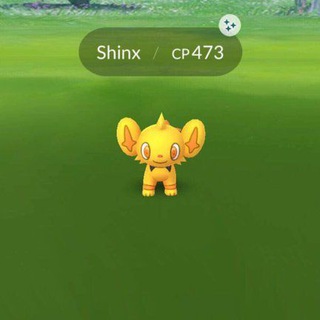 Логотип @raidshinyalolamilano - Segnalazione Raid SHINY&ALOLA
