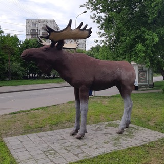 Логотип @raionmetrogorodok - Район Метрогородок