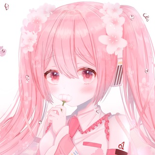 Логотип @raiswb - RAIS WB /товары с Wildberriеs/ Прикольные вещи с wb