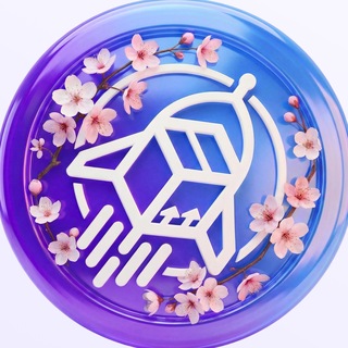 Логотип @raketacn_official - RAKETA • Официальная доставка из Китая🚀