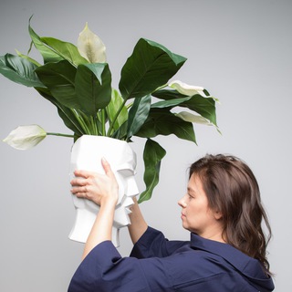 Логотип @raketainspaces - (Не)идеальный город Валерии Савиных