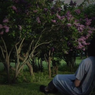 Логотип @rambo_23 - мысли и не болееོ