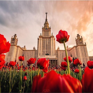 Логотип @ramenkizao - РАМЕНКИ группа