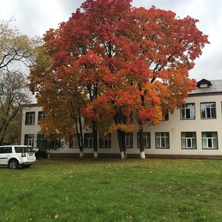 Логотип @ramkonsultant - Раменский дом учителя