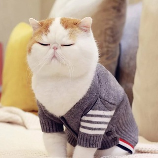 Логотип @randy5ka - 🥶randy Shop