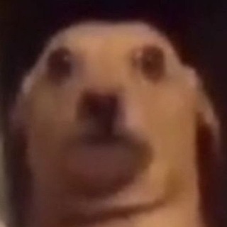 Логотип @raprooom - Rap room🙊