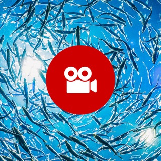 Логотип @ras_youtubers - УЗВ Ютуберы