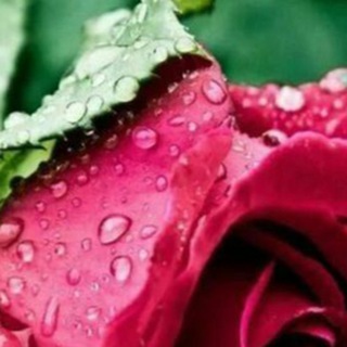 Логотип @raser_300 - Вот это да