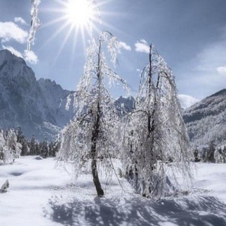 Логотип @raser_8gfbfgb - За жизнь