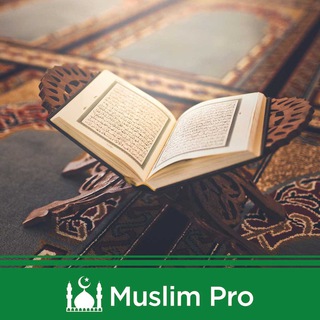 Логотип @rashid_mishari - Quran MP3