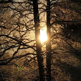 Логотип @raslatif - RAS