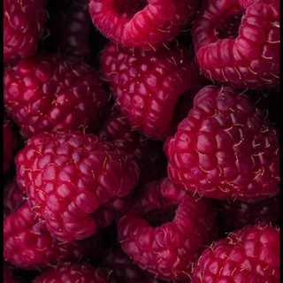 Логотип @raspberry_malina - МАЛИНА