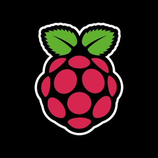 Логотип @raspicn - 树莓派 Raspberry Pi