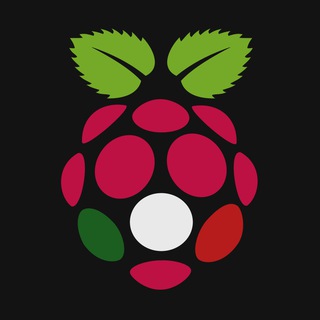 Логотип @raspitalia - Raspberry Pi Italia