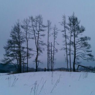 Логотип @rasputitsa - Roudasta rospuuttoon