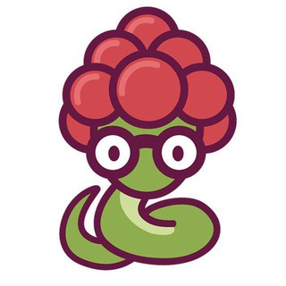 Логотип @raspython - Raspython - Raspito's Family